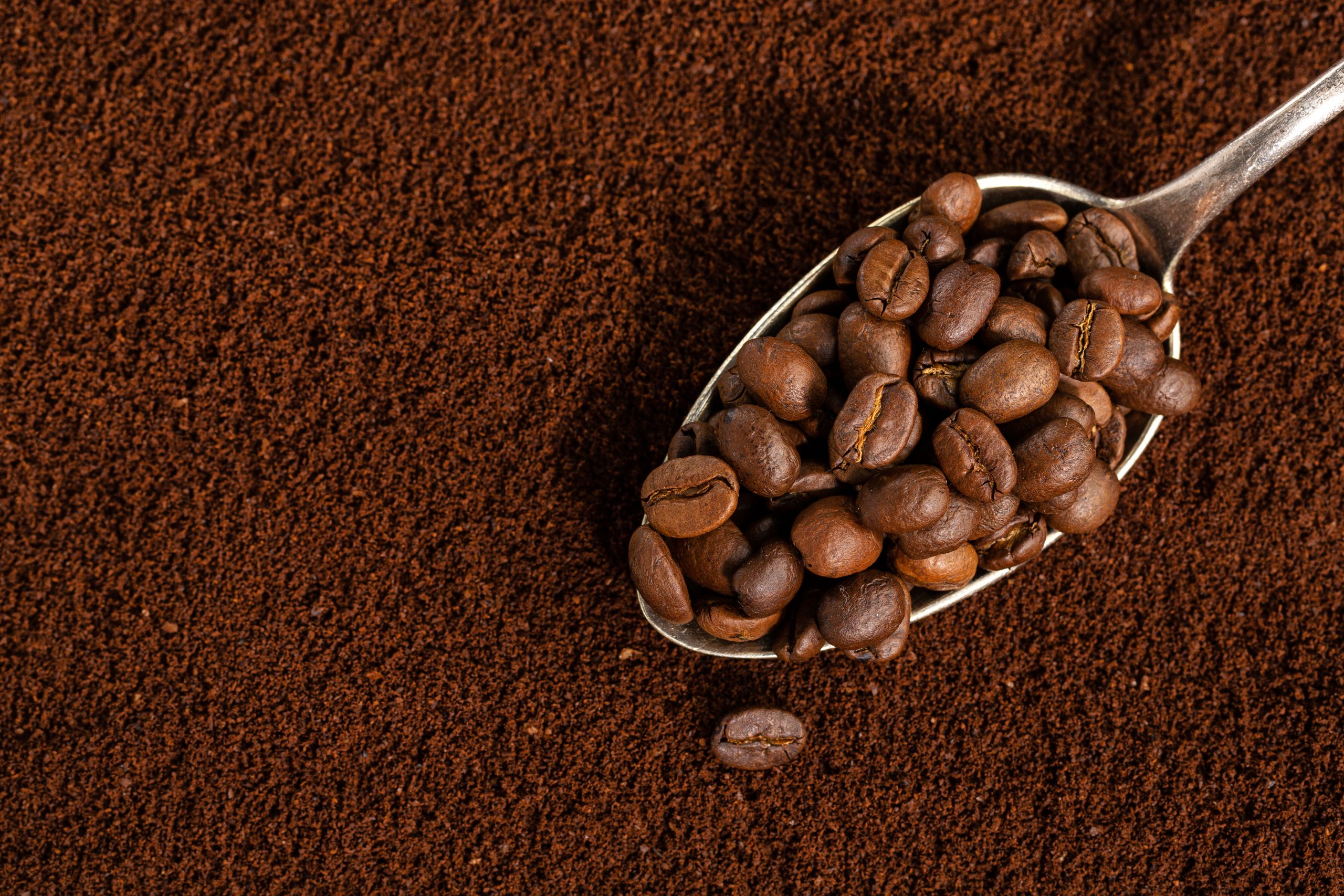 Coffee beans on spoon on ground coffee background. Closeup.